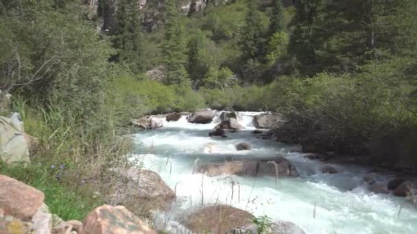 Tormentoso Río Montaña Corre Través Garganta — Vídeos de Stock