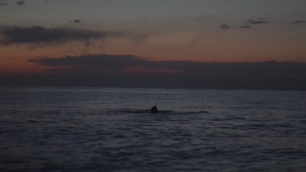 Man Swims Sunset — Stock Video
