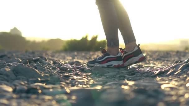 Fille Avec Cerceau Dans Nature — Video