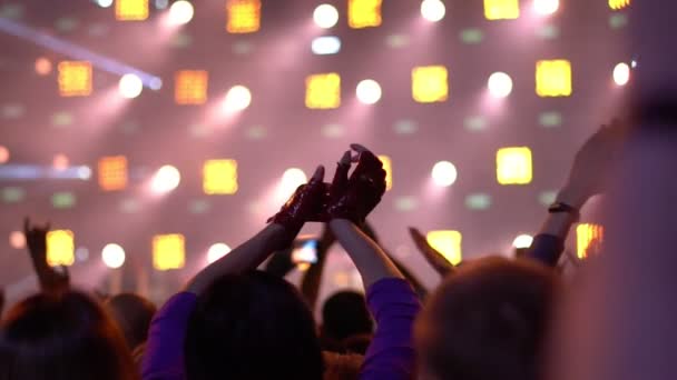 Menschen Bei Einem Rockkonzert — Stockvideo