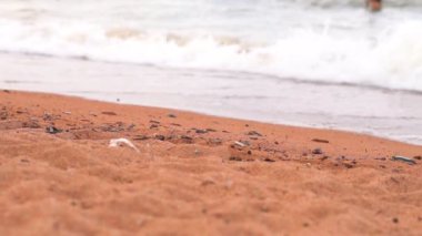 Deniz dalgaları kıyıya yakın