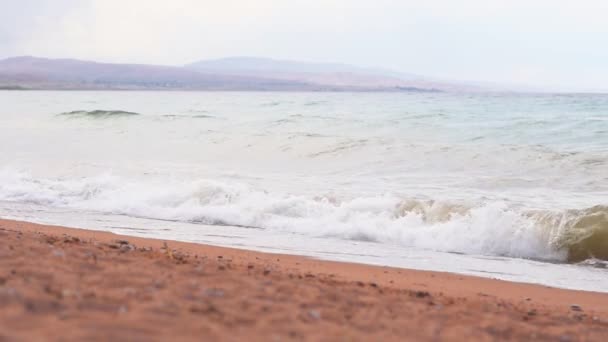 Ondas Mar Perto Costa — Vídeo de Stock