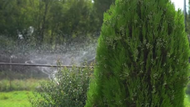 Het water geven systeem in de tuin — Stockvideo