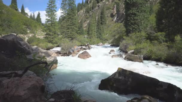 Stormy mountain river runs through the gorge — Stock Video