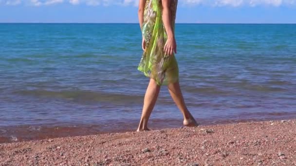 Дівчина гуляє на пляжі — стокове відео