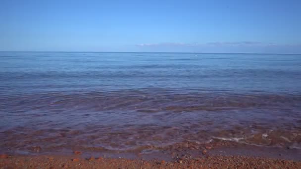 穏やかな海の水平線のパノラマ — ストック動画