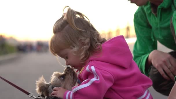犬と遊ぶ子供 — ストック動画
