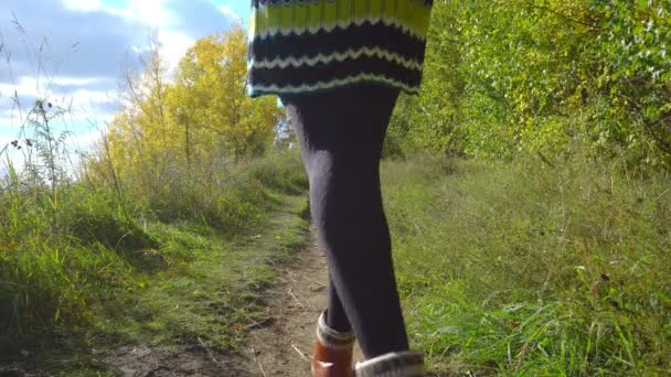 Flicka Promenader Längs Stigen Skogen — Stockvideo