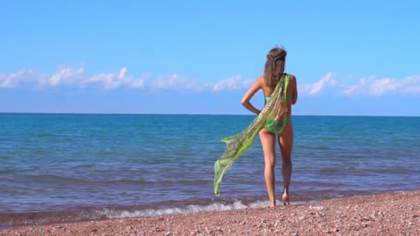 Una Donna Sta Vicino Mare — Video Stock