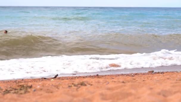 Gelombang Laut Dekat Pantai — Stok Video