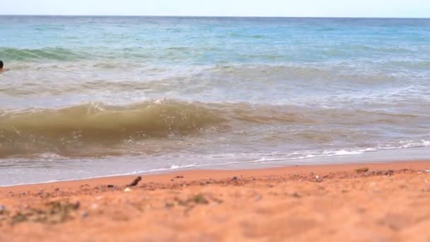Havsvågor Nära Stranden — Stockvideo