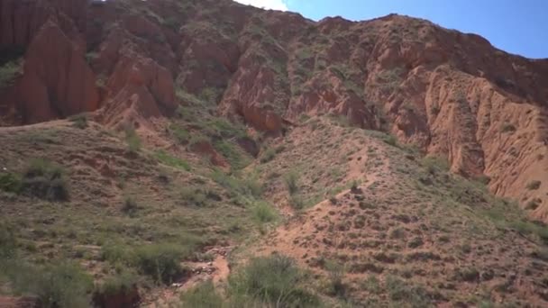 Caminatas Familiares Las Montañas — Vídeo de stock