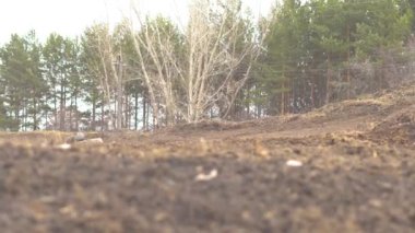 Novokuzneck, Rusya - 21.04.2018: motocross yarışmalar