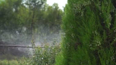 Bahçe sulama sistemi