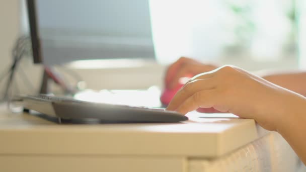 Women Hands Keyboard — Stock Video