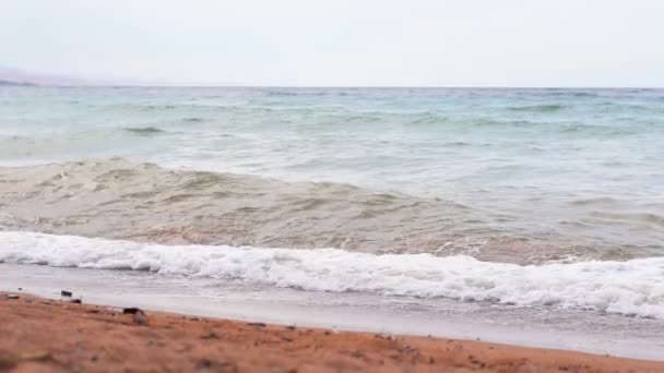 Girl Goes Out Sea Big Waves — Stock Video