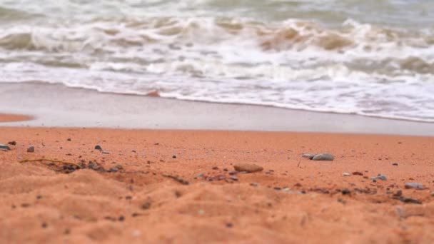 Olas Marinas Cerca Orilla — Vídeo de stock