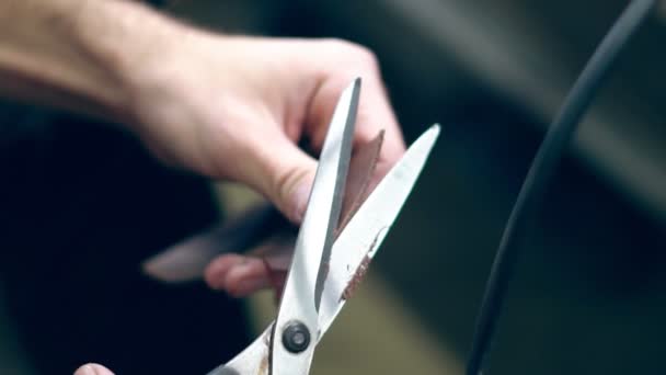 Tanner Pair Scissors Cut Skin — Stock Video