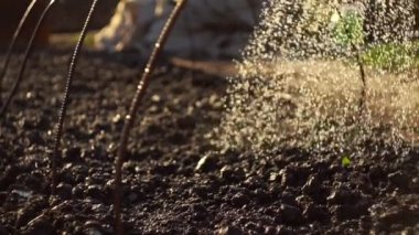 Bahçıvan Bahçe Sulama