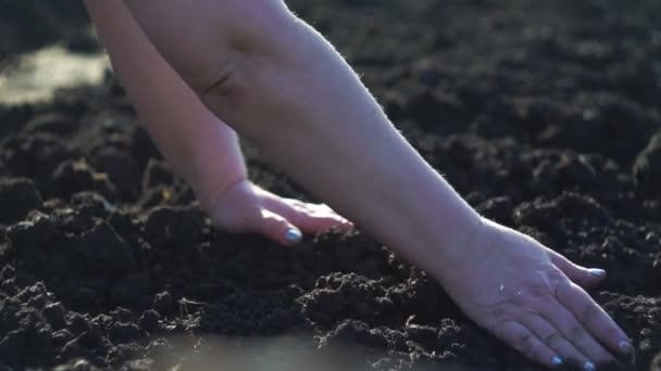 Jardinero planta semillas en el suelo — Vídeo de stock