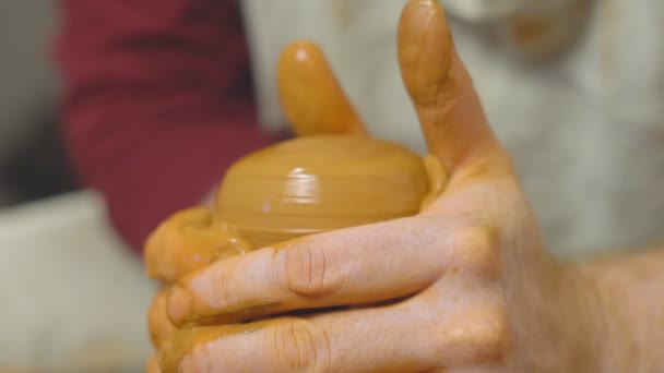 Potter maakt een werper in de workshop — Stockvideo