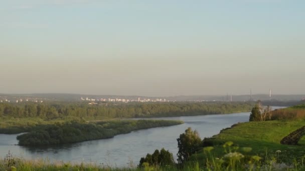 Trawa na polu zbliżenie — Wideo stockowe