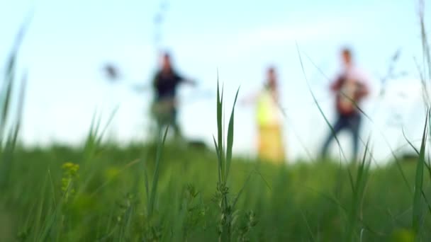 Gräs på fältet närbild — Stockvideo