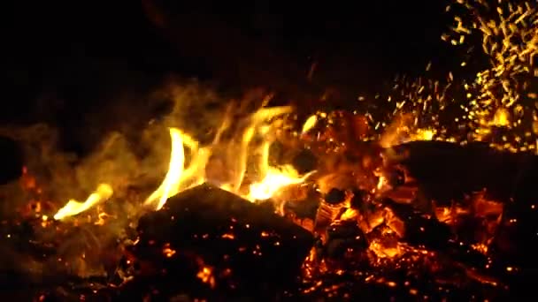 Ein Feuer Brennt Der Nacht Funken Fliegen — Stockvideo