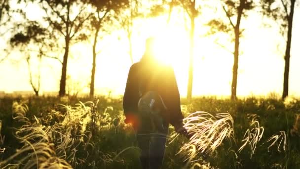 Homem Caminha Num Campo Pôr Sol — Vídeo de Stock