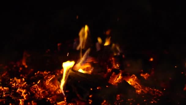 Ein Feuer Brennt Der Nacht Funken Fliegen — Stockvideo