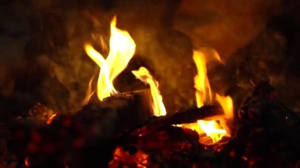 Μια Φωτιά Καίει Νύχτα Σπινθήρες Πετούν — Αρχείο Βίντεο