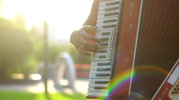 Musician Plays Accordion — Stock Video