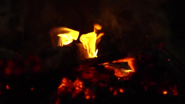 Oheň hoří v noci jiskry létají — Stock video