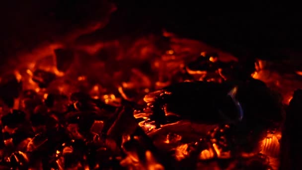 Ein Feuer Brennt Der Nacht Funken Fliegen — Stockvideo