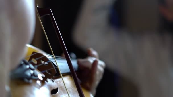 Žena ve věku hudebník hraje na housle — Stock video