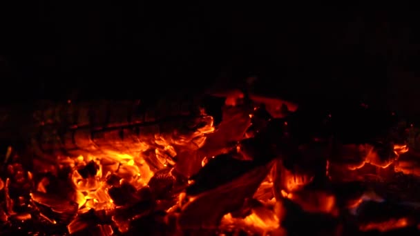 Gece Bir Ateş Yanıyor Kıvılcımlar Uçuşuyor — Stok video