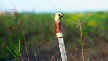 Toprağa saplanmış bir kılıcın kabzası.