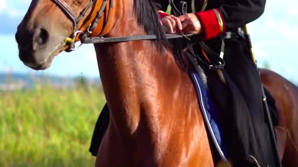 Kozák lovon, hagyományos jelmezben.