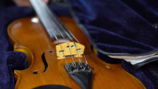 Ο μουσικός βγάζει το βιολί από τη θήκη του. — Αρχείο Βίντεο