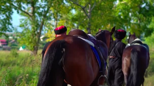 Ryssland, Novokuznetsk, - 3 juli 2020: Kosack på en häst i en traditionell dräkt — Stockvideo