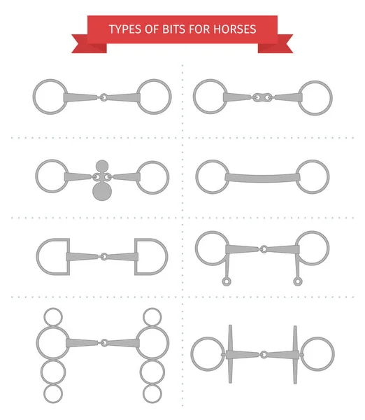 beyaz arka plan üzerinde vektör yassı metal gri atlı dizgin uçları farklı türleri