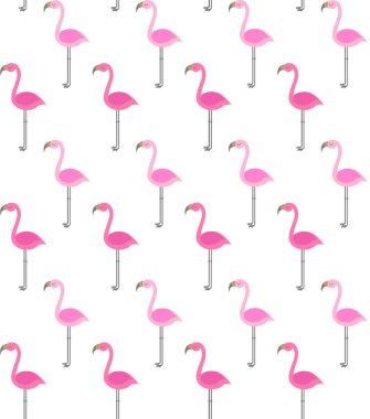 pembe flamingo vektör dikişsiz düz desen beyaz arka plan üzerinde izole