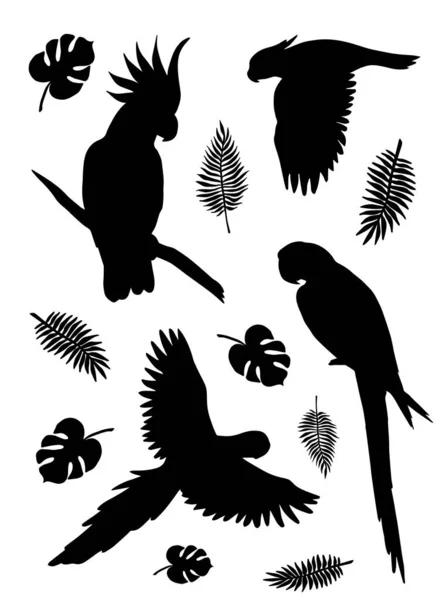 Colección de conjunto negro plano vectorial de silueta de loro tropical volando y sentado con hojas de palma sobre fondo blanco — Archivo Imágenes Vectoriales