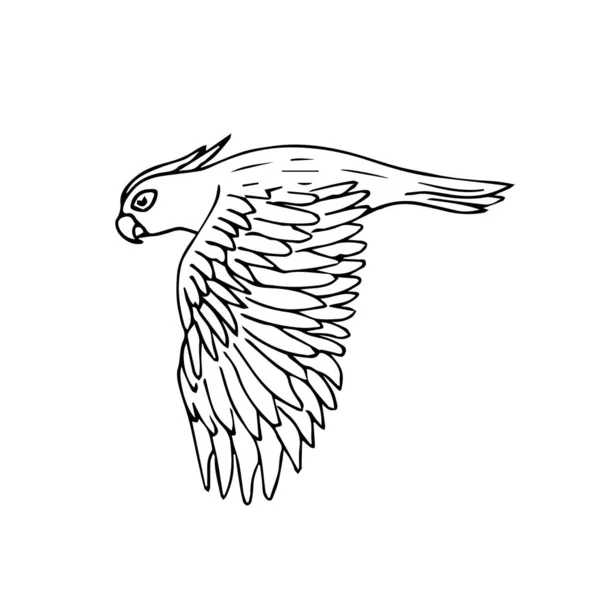Vector negro línea de tinta dibujado a mano cacatúa loro volando sobre fondo blanco — Archivo Imágenes Vectoriales