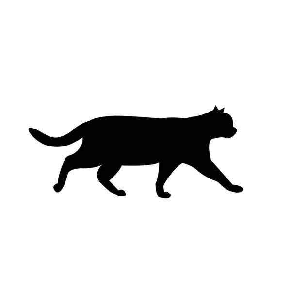 Vektör beyaz siyah kedi silueti yürüyüş — Stok Vektör