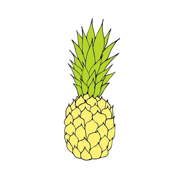 Vector hand Drawn Doodle skiss och tall äpple ananas på vit bakgrund — Stock vektor