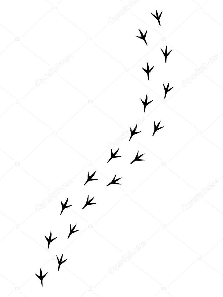 Vector black bird paw steps road on white background