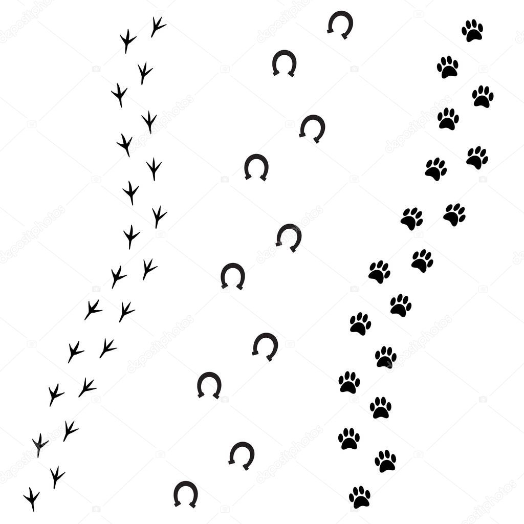 Vector black foot prints of dog horse and bird