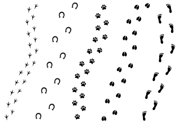 Conjunto de desenhos animados plano vetorial de animal diferente preto e pegada humana —  Vetores de Stock