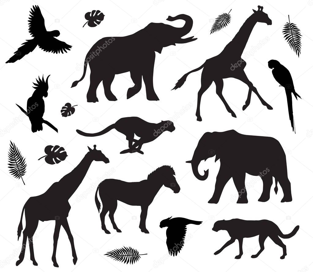 Vector black set of african animals silhouette